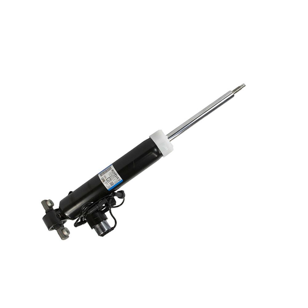 Lincoln MKZ Rear Gas Pressure Shock Absorber Electronically 2013- - A.B.Racing Suspension Parts